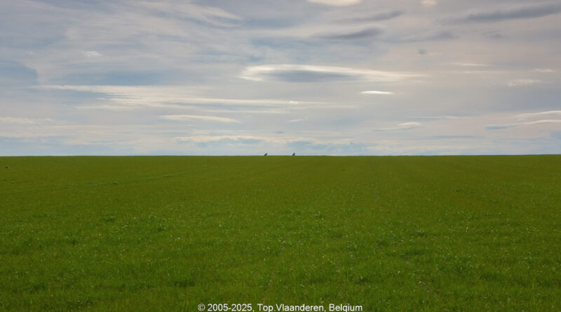 GPS: 50°46'44.4648" N 2°50'24.144" E Altitude: 63,2 m -  -  -   -  -   -  -