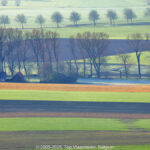 GPS: 50°46'42.0132" N 2°48'43.65" E Altitude: 162,2 m - België -  -  Heuvelland -  -   -  -