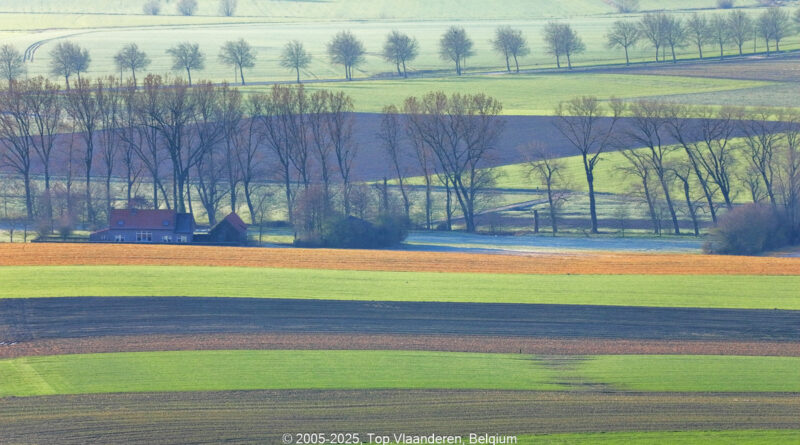GPS: 50°46'42.0132" N 2°48'43.65" E Altitude: 162,2 m - België -  -  Heuvelland -  -   -  -