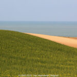 GPS: 50°54'57.528" N 1°42'19.3572" E Altitude: 45,6 m -  -  -   -  -   -  -