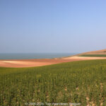GPS: 50°54'57.528" N 1°42'19.3572" E Altitude: 45,6 m -  -  -   -  -   -  -