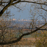 GPS: 50°46'42.2112" N 2°48'42.9588" E Altitude: 141,9 m - België -  -  Heuvelland -  -   -  -