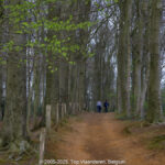 GPS: 50°47'4.776" N 2°45'30.6612" E Altitude: 121,2 m -  -  -   -  -   -  -