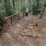 GPS: 50°47'10.662" N 2°45'34.8588" E Altitude: 135,6 m -  -  -   -  -   -  -