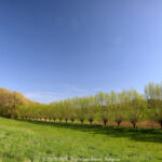 GPS: 50°47'57.9912" N 2°45'41.1912" E Altitude: 87,6 m -  -  -   -  -   -  -