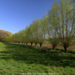 GPS: 50°47'57.9912" N 2°45'41.1912" E Altitude: 87,6 m -  -  -   -  -   -  -