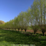 GPS: 50°47'57.9912" N 2°45'41.1912" E Altitude: 87,6 m -  -  -   -  -   -  -