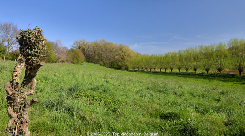 GPS: 50°47'51.324" N 2°45'22.6368" E Altitude: 84,2 m -  -  -   -  -   -  -