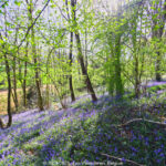 GPS: 50°47'10.68" N 2°40'8.1408" E Altitude: 139,8 m -  -  -   -  -   -  -