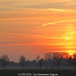 GPS: 50°49'54.894" N 2°51'2.3112" E Altitude: 23,0 m -  -  -   -  -   -  -