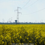 GPS: 50°28'41.2968" N 2°51'2.5272" E Altitude: 36,8 m -  -  -   -  -   -  -