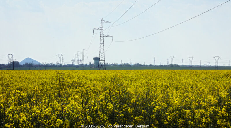GPS: 50°28'41.2968" N 2°51'2.5272" E Altitude: 36,8 m -  -  -   -  -   -  -