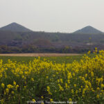 GPS: 50°27'18.0288" N 2°46'33.654" E Altitude: 22,4 m -  -  -   -  -   -  -