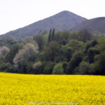 GPS: 50°26'54.2148" N 2°46'15.834" E Altitude: 27,4 m -  -  -   -  -   -  -