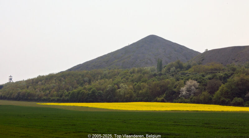 GPS: 50°27'9.5328" N 2°46'55.6068" E Altitude: 40,9 m -  -  -   -  -   -  -