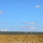 GPS: 50°55'27.66" N 3°0'17.7372" E Altitude: 30,8 m -  -  -   -  -   -  -