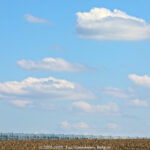 GPS: 50°55'27.66" N 3°0'17.7372" E Altitude: 30,8 m -  -  -   -  -   -  -