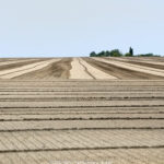 GPS: 50°49'8.6772" N 2°51'48.7368" E Altitude: 19,8 m -  -  -   -  -   -  -