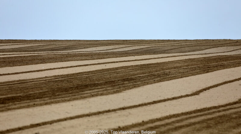 GPS: 50°49'8.6772" N 2°51'48.7368" E Altitude: 19,8 m -  -  -   -  -   -  -