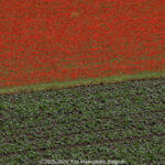 GPS: 50°26'46.068" N 2°46'9.8652" E Altitude: 27,5 m -  -  -   -  -   -  -