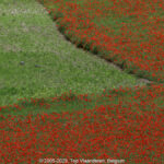 GPS: 50°26'46.032" N 2°46'9.966" E Altitude: 48,2 m -  -  -   -  -   -  -