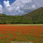 GPS: 50°26'31.1892" N 2°46'13.9512" E Altitude: 34,8 m -  -  -   -  -   -  -