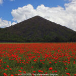 GPS: 50°26'31.848" N 2°46'17.472" E Altitude: 31,1 m -  -  -   -  -   -  -