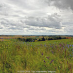 GPS: 50°46'21.252" N 2°48'16.2" E Altitude: 81,2 m -  -  -   -  -   -  -