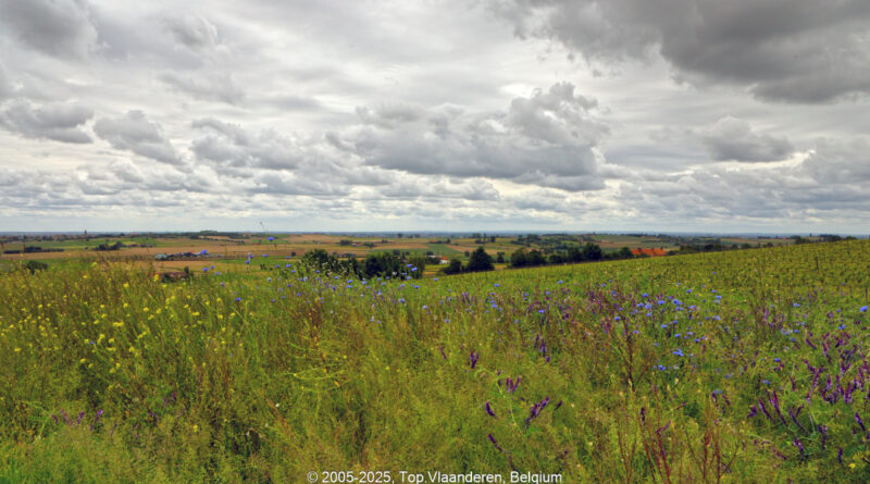 GPS: 50°46'21.252" N 2°48'16.2" E Altitude: 81,2 m -  -  -   -  -   -  -