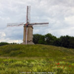 GPS: 50°50'14.64" N 3°19'6.3012" E Altitude: 0,9 m -  -  -   -  -   -  -