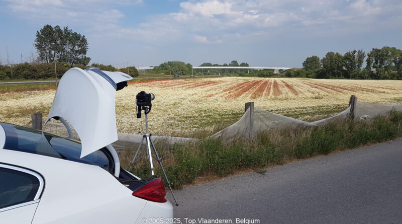 GPS: 50°59'43.0008" N 2°11'30.0012" E Altitude: 68,0 m -  -  -   -  -   -  -
