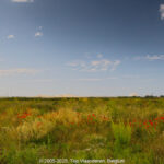 GPS: 50°59'1.7808" N 2°10'42.5748" E Altitude: 38,3 m -  -  -   -  -   -  -