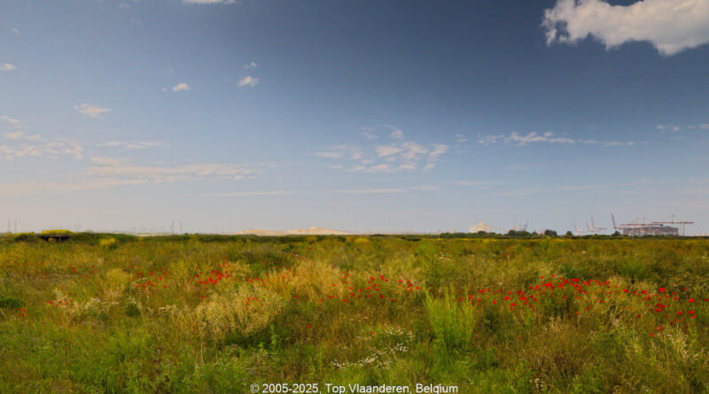 GPS: 50°59'1.7808" N 2°10'42.5748" E Altitude: 38,3 m -  -  -   -  -   -  -