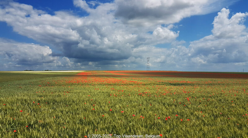 GPS: 50°22'14.0016" N 2°54'10.0008" E Altitude: 109,0 m -  -  -   -  -   -  -