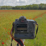 GPS: 50°22'14.0016" N 2°54'10.0008" E Altitude: 107,0 m -  -  -   -  -   -  -