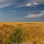 GPS: 50°56'12.21" N 2°21'49.4712" E Altitude: 40,0 m -  -  -   -  -   -  -