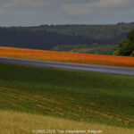 GPS: 50°48'30.654" N 2°5'6.6552" E Altitude: 68,1 m -  -  -   -  -   -  -