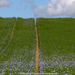 GPS: 50°47'40.2828" N 2°5'9.978" E Altitude: 66,8 m -  -  -   -  -   -  -