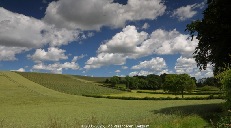 GPS: 50°47'4.3728" N 2°5'4.3908" E Altitude: 118,9 m -  -  -   -  -   -  -