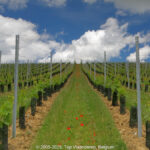 GPS: 50°47'8.6892" N 2°5'6.216" E Altitude: 81,1 m -  -  -   -  -   -  -