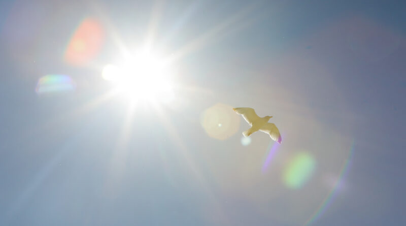 GPS: 50°58'7.2372" N 1°50'29.6628" E Altitude: -4,3 m -  -  -   -  -   -  -