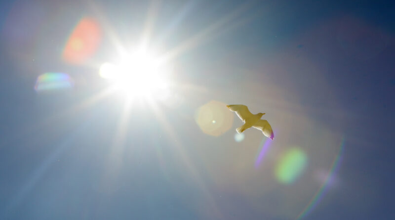 GPS: 50°58'7.2372" N 1°50'29.6628" E Altitude: -4,3 m -  -  -   -  -   -  -