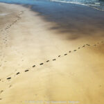 GPS: 50°58'7.284" N 1°50'29.8608" E Altitude: 7,0 m -  -  -   -  -   -  -