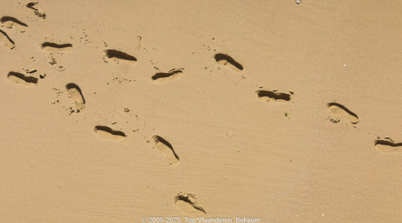 GPS: 50°58'7.284" N 1°50'29.8608" E Altitude: 7,0 m -  -  -   -  -   -  -