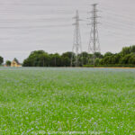 GPS: 50°51'0.396" N 2°51'33.174" E Altitude: -20,9 m -  -  -   -  -   -  -
