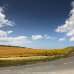 GPS: 50°52'4.53" N 1°35'15.6732" E Altitude: 38,3 m -  -  -   -  -   -  -