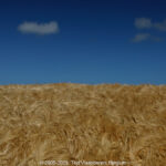 GPS: 50°53'24.09" N 1°41'7.0332" E Altitude: 66,9 m -  -  -   -  -   -  -