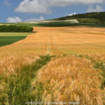 GPS: 50°53'15.666" N 1°41'54.996" E Altitude: 75,9 m -  -  -   -  -   -  -