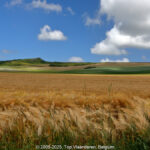GPS: 50°53'15.666" N 1°41'54.996" E Altitude: 75,9 m -  -  -   -  -   -  -