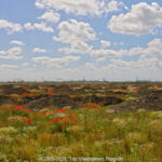 GPS: 50°58'34.788" N 2°11'51.2628" E Altitude: 9,0 m -  -  -   -  -   -  -